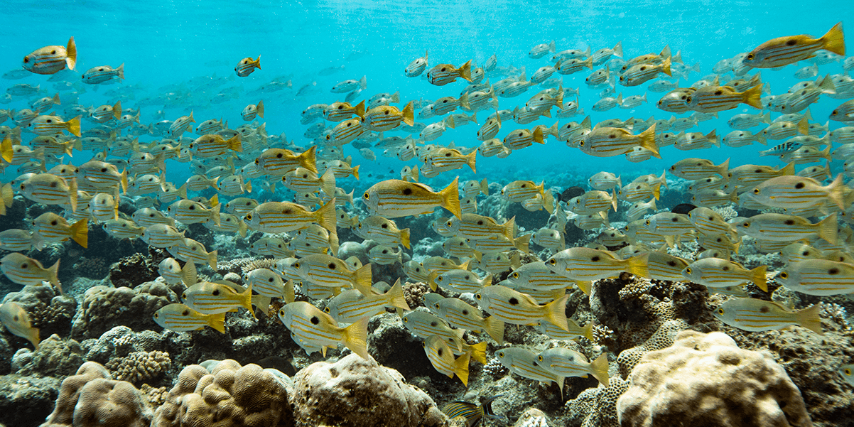 The Ins and Outs of Recovery