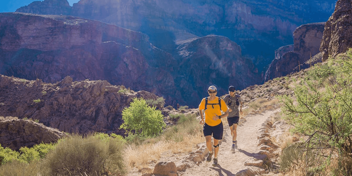 A Natural BCAA Primer